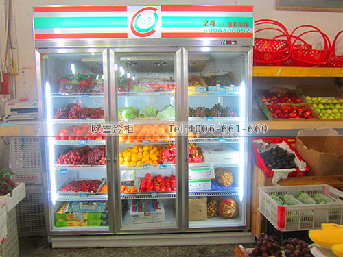 B108上海松江新雄果業(yè)水果保鮮柜-水果冷藏柜-水果冷柜冰柜