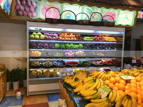 B077上海市松江區(qū)金芙蓉果品水果冷藏展示柜
