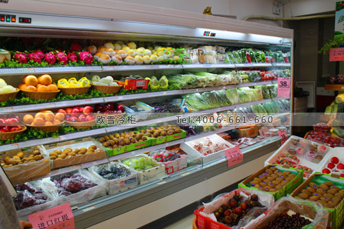 B124廣東省深圳市龍崗區(qū)會(huì)生活水果蔬菜保鮮柜