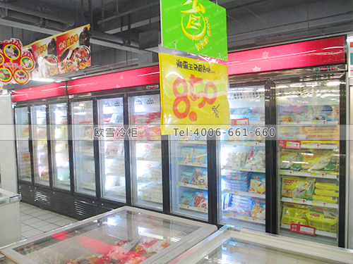 B143廣州新薈萃購(gòu)物廣場(chǎng)超市冰柜冷凍展示柜