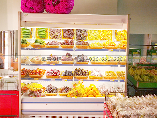 B140湖南長沙雨花區(qū)四季果園水果冷藏展示保鮮柜