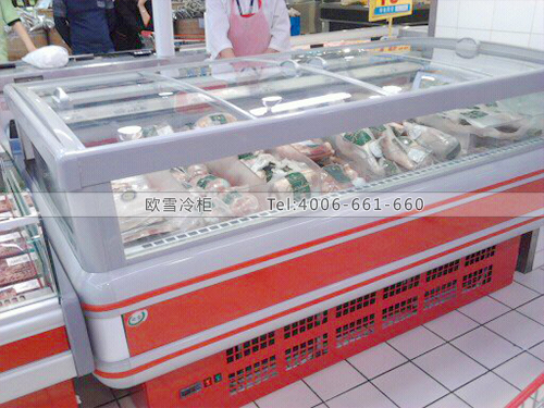 B176深圳寶安家樂福鮮肉冷柜冰柜
