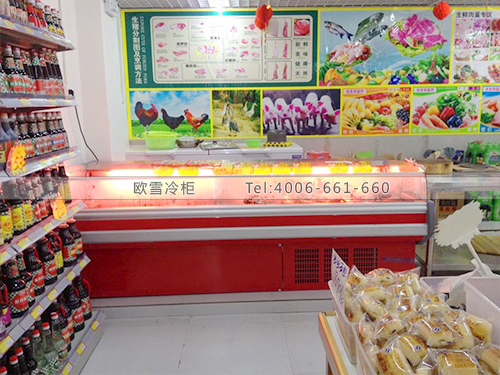 B175廣西南寧多多來(lái)超市鮮肉冷藏保鮮柜