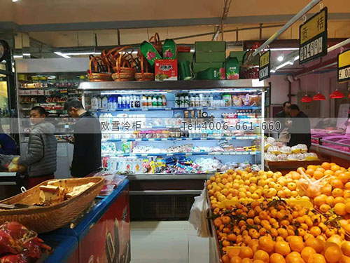 B132天津市寶坻區(qū)憨果先生水果冷柜