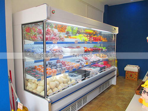 B182廣西南寧GK水果店冷柜冰柜