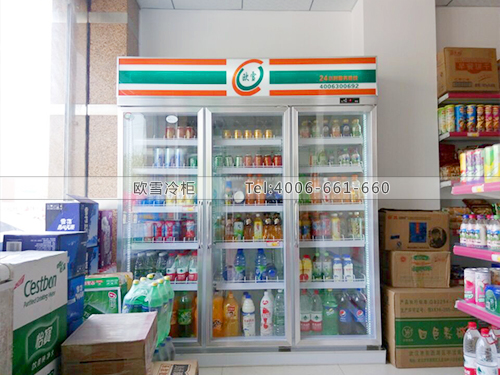 B314湖北武漢南湖春超市冷柜