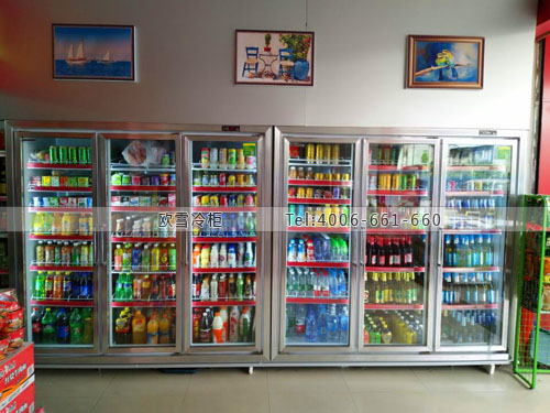 B404廣東省東莞市大嶺山鎮(zhèn)華欣超市飲料展示柜