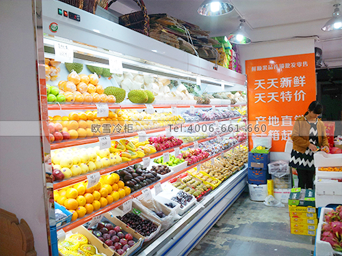 B269上海閘北鮮順果品水果保鮮柜