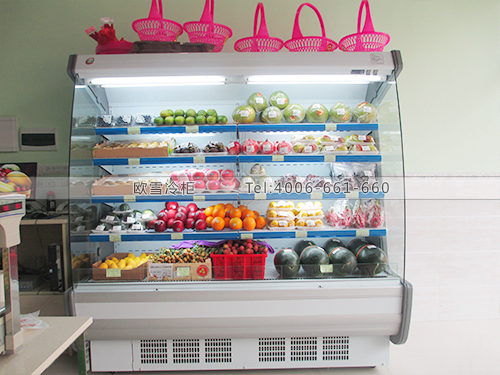 B205東莞東城繽紛果語水果冷藏柜