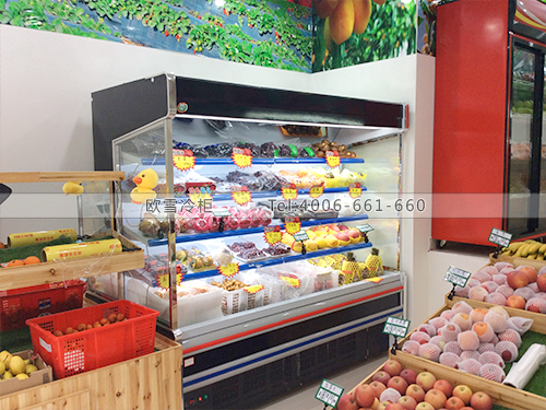 B297福建廈門好吃青水果園水果保鮮柜