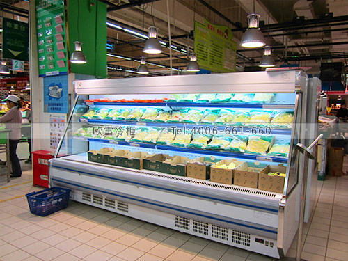 B231江蘇南京家樂福蔬菜冷藏保鮮柜