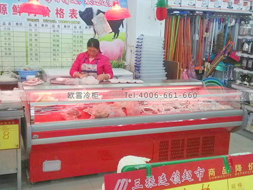 B304福建廈門三振生鮮連鎖超市冷柜