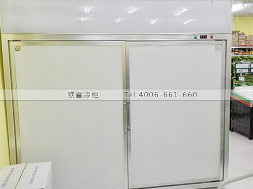 B256湖北武漢放心糧油牛奶低溫冷柜