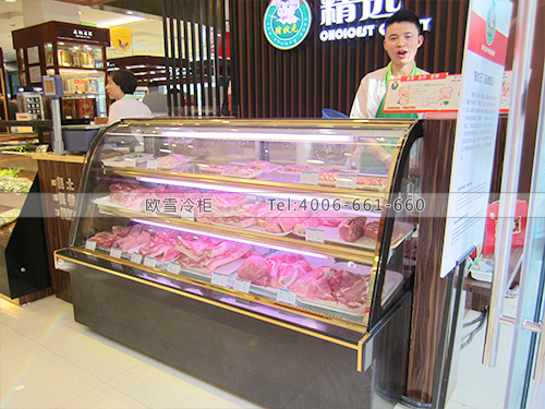 B209上海閘北豬狀元鮮肉保鮮冷藏冰柜