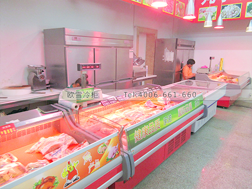 B336北京朝陽(yáng)保真保佳生鮮超市冷柜