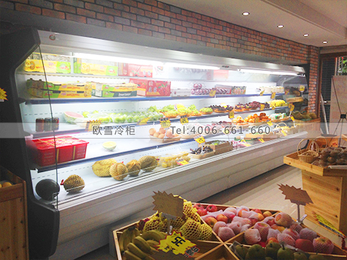 B379福建福州臺江區(qū)陳先生的果鋪冷柜冰柜
