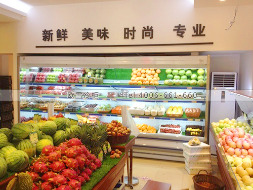 B216湖南株洲溢香水果冷藏柜