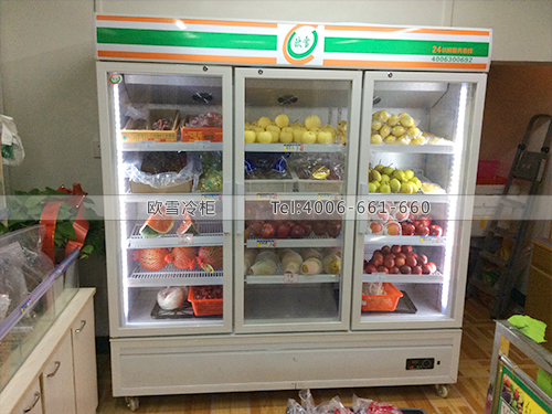B291湖北黃石好吃果食匯水果冰柜冷柜