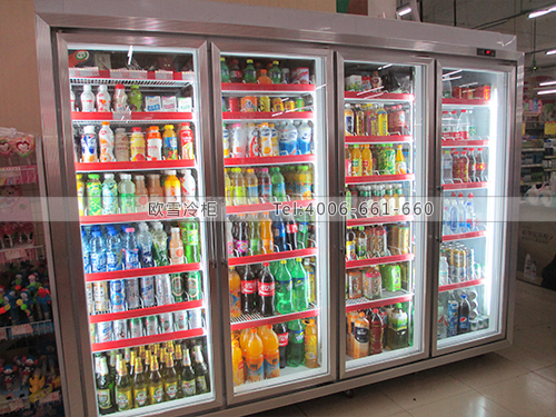 B233廣西南寧天天樂超市冷柜