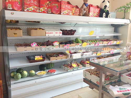 B339四川成都hi水果保鮮柜冷藏柜