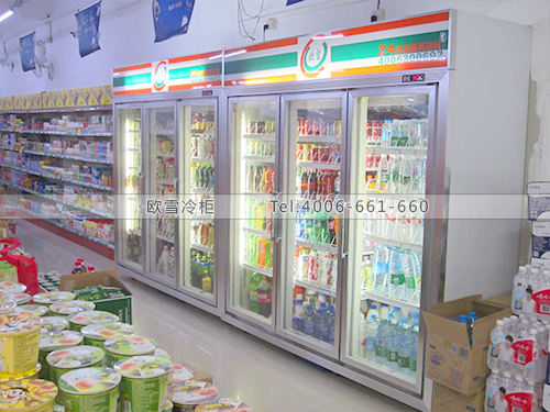 B221惠州億樂(lè)佳商場(chǎng)超市冷柜冰柜