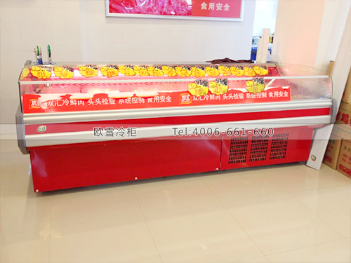 B236廣西南寧皆樂超市鮮肉冰柜