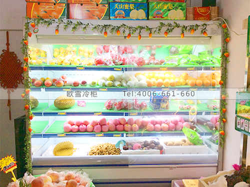 B428湖北黃岡浠水多維鮮水果保鮮柜