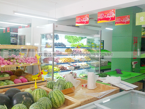 B214湖南長(zhǎng)沙添和超市冷柜