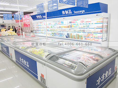 B266江蘇蘇州citydia超市冷柜冰柜