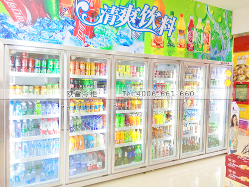 B430深圳龍華新區(qū)新澤盛購物廣場超市冷藏柜