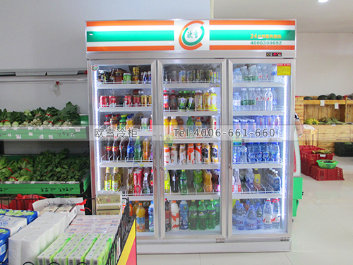 B394廣西南寧悅客超市三門冰柜冰柜