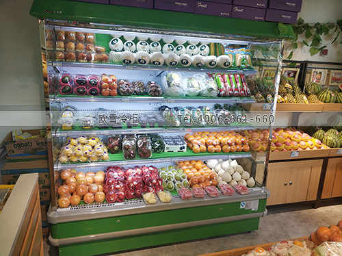 B257江蘇省南京市秦淮區(qū)涵旭水果保鮮柜