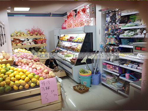 B248湖南長(zhǎng)沙紫青藍(lán)連鎖超市冷柜
