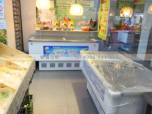 B331上海楊浦姐妹生態(tài)農(nóng)副產(chǎn)品冷柜冰柜