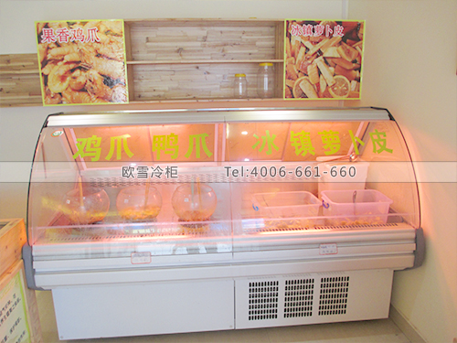 B203廣西南寧百舍酸食坊食品冷柜