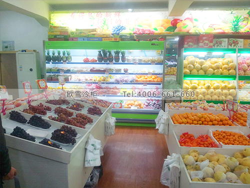 B260上海徐匯林園百果超市冷柜冰柜