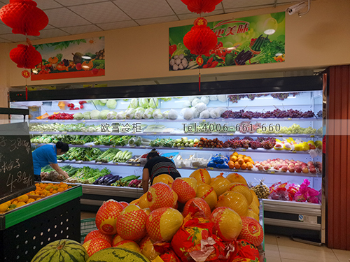 B400四川省雅安市雨城區(qū)誠信超市蔬菜保鮮柜
