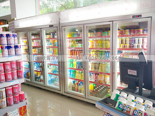 B415廣西南寧塑美連鎖超市冷柜