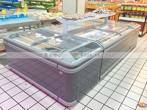 B401上海青浦臺(tái)客隆購物廣場(chǎng)低溫冷凍展示柜