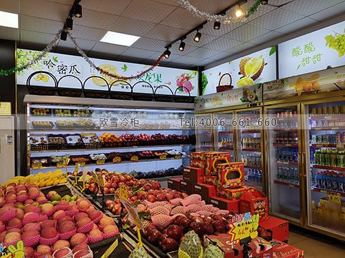 B234廣東省惠州市博羅縣匯綠鮮鮮果保鮮柜