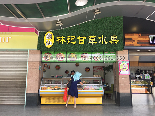 B270廣東省肇慶市端州區(qū)潮汕林記甘草水果冷藏柜