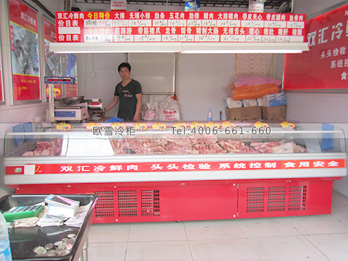 B201上海閔行雙匯冷鮮肉冷柜