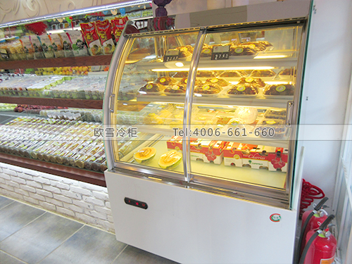 B286北京朝陽水果學(xué)院冷柜冰柜
