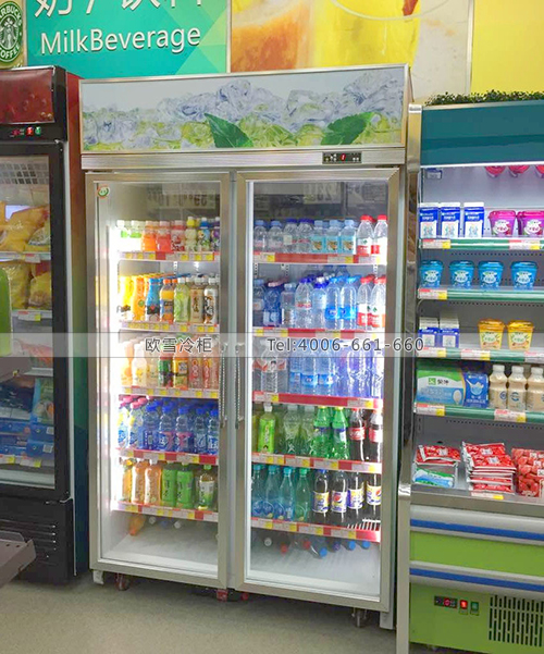 B409安徽合肥綠鄰便利超市冷柜