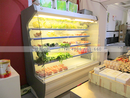 B317北京朝陽(yáng)百子灣鮮奶站冷柜冰柜