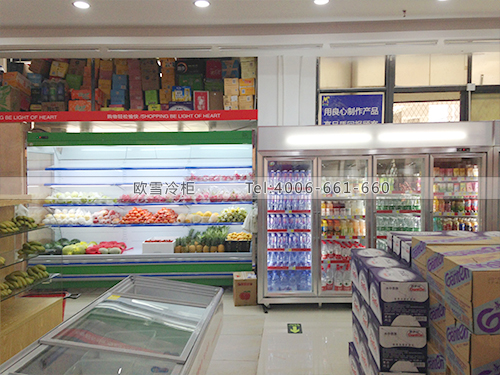 B307福建廈門集美大學(xué)鴻潤(rùn)福連鎖超市冷柜