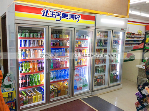 B474湖北武漢天富超市冷藏展示柜