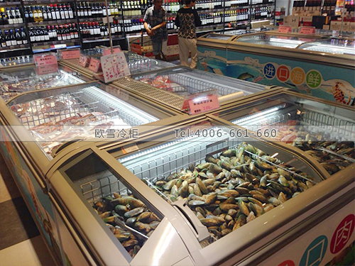 B445中山海納購(gòu)進(jìn)口直銷體驗(yàn)中心冷柜冰柜