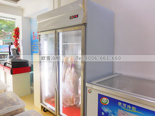 B508深圳福田梅林中學高原紅生態(tài)家園超市冷柜