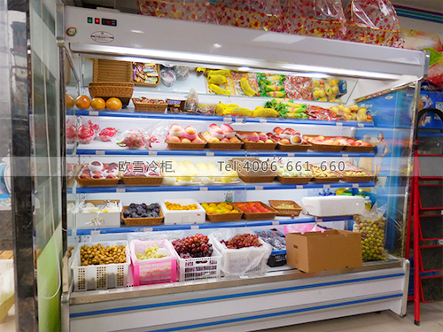 B494湖南長沙紫青藍(lán)果蔬店冷柜冰柜保鮮柜